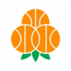 BC吕勒奥