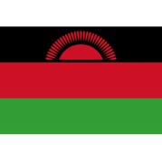 南非女足