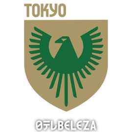 内湖公马女足